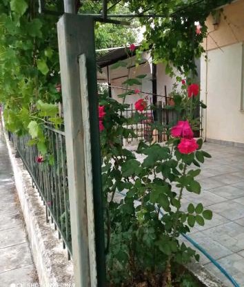 Kolhida home