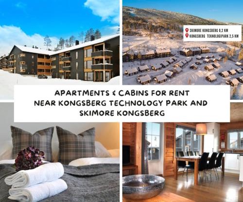 Kongsberg Booking