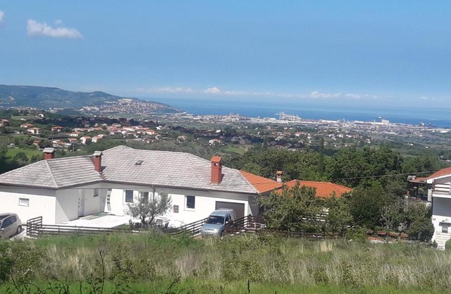 Kortina 1