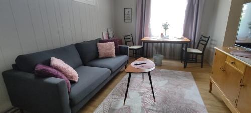 Kortteer Pinkki huone