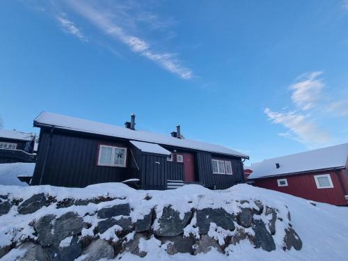 Koselig hytte sentralt på Norefjell, ski in & out