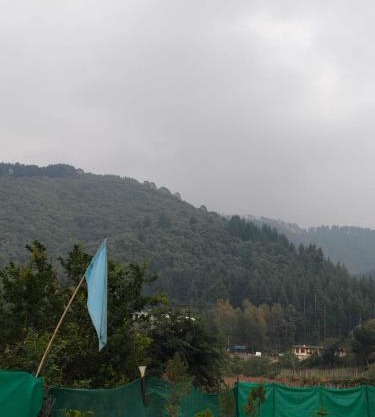Krishna Resort