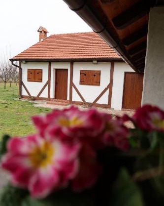 Kuća za odmor Drava