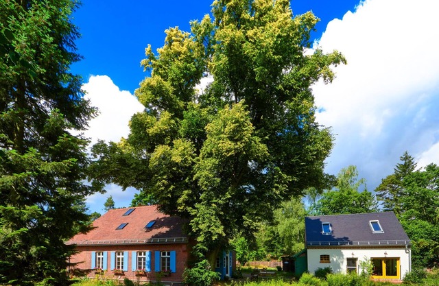 Kulturhof Dretzen - Traumhaft Beherbergt