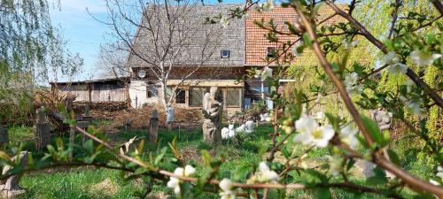 Kunstwerk Usedom & Fahrradherberge