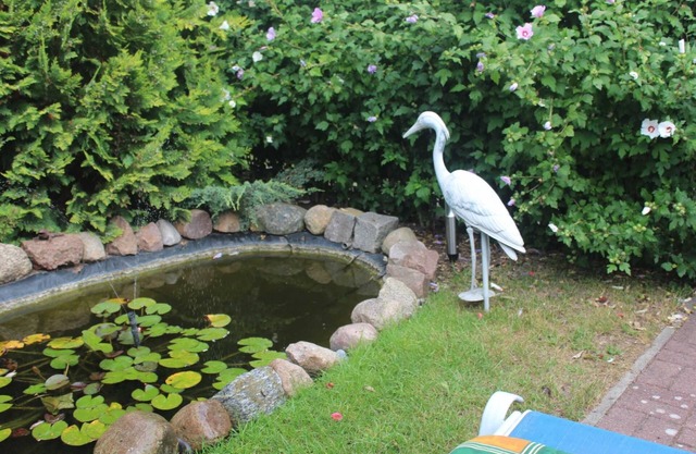 KuR summer - cottage - cottage