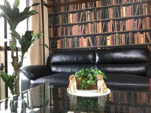KY Apartment - Vacation STAY 40189v