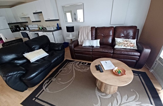 L'accueillant, whole apartment, a combination of town and country