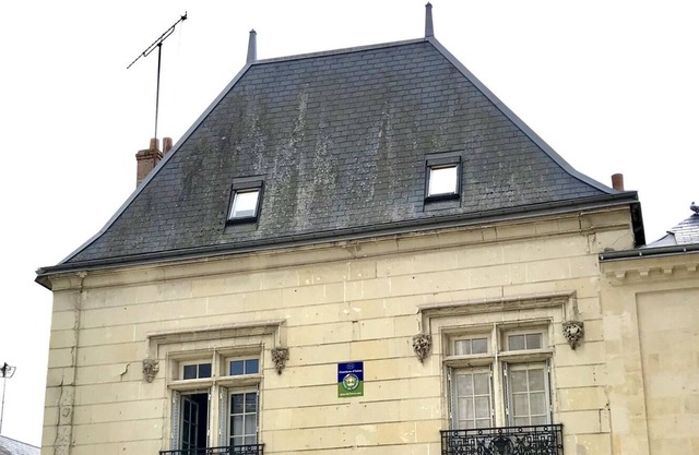 L'Ange est rêveur