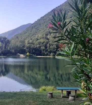 L’Angolino di MAGDA: on the lake-PRIVATE beach!