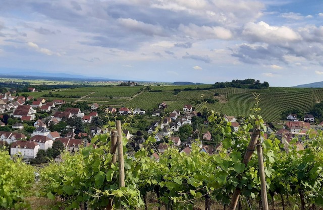 L'appart Avec Terrasse en Plein Centre Historique!