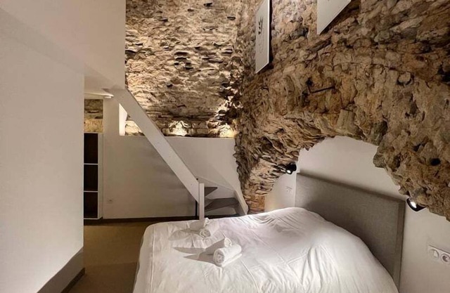 L'atypique - Marvellous apartment in Poitiers