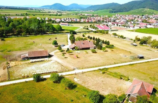 L'Etoile du Vignoble - At the heart of an Alsatian ranch on the Route des Vins!