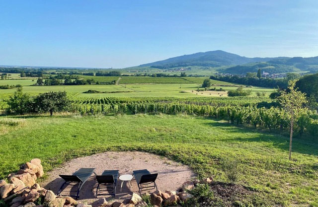 L'horizon des vignes, Holiday home on the wine route.