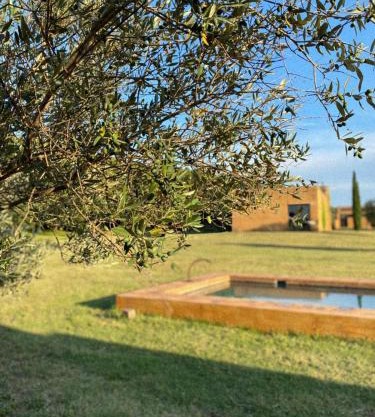 l'Olivar