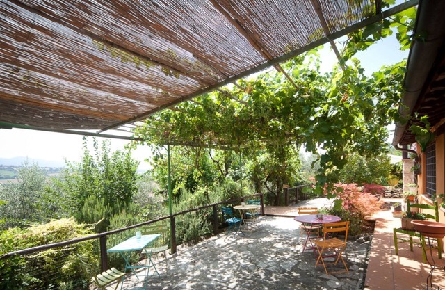 L'ulivo secolare, Exclusive and pacefull Property in Umbria Massa Martana