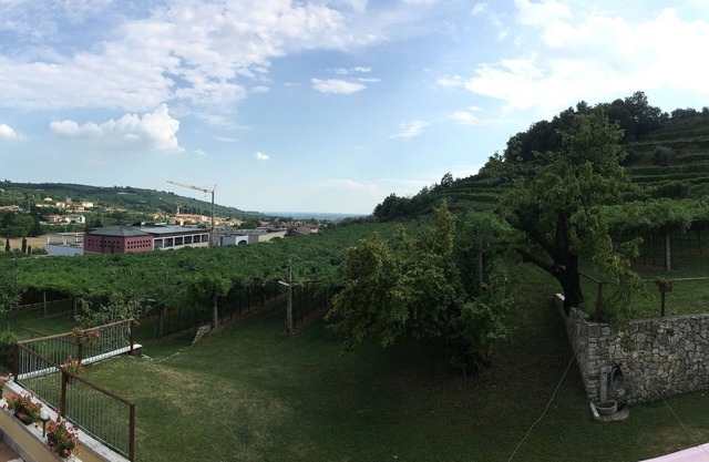 La Bella Vigna