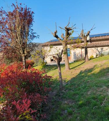 La Bottega di Torreluca