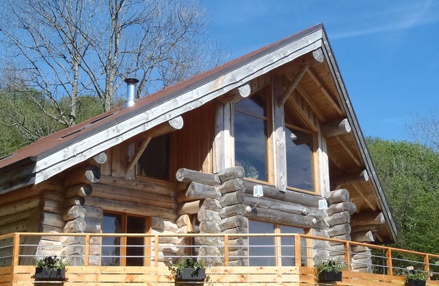 LA BRESSE Log cabin in the heart of nature for 11 people