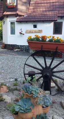La cabana bunicului