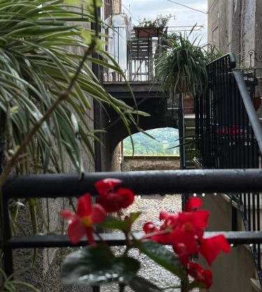 La Casa Del Vicolo