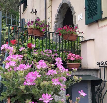 La Casa Dell'Arco