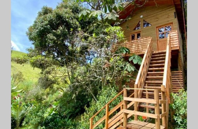 La Casa En El Bosque