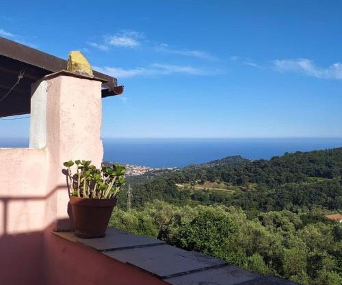 La casa rosa