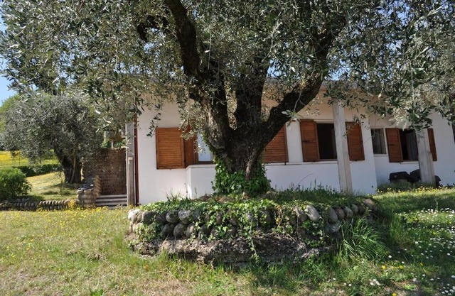 LA CASA TRA GLI OLIVI