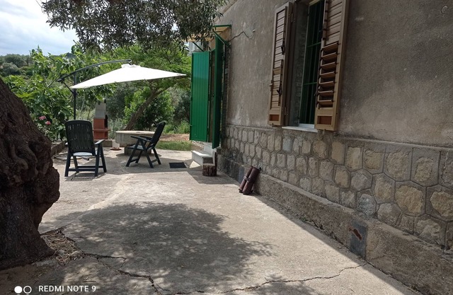 La Casetta among the olive trees