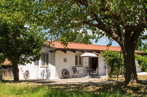 La Casina Nel Frutteto