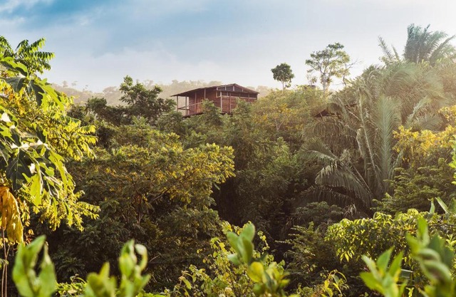 La Casita del Bosque