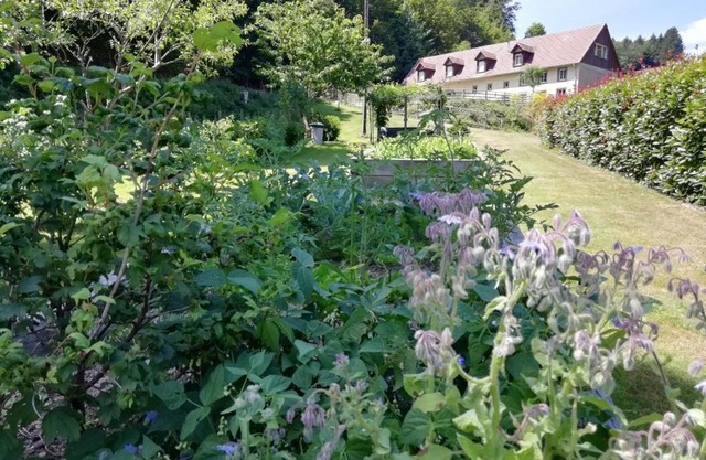 LA CLIMONTAINE