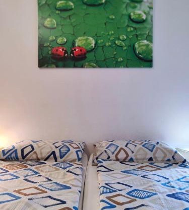 La Coccinella di Susà