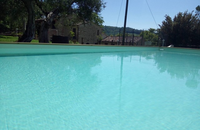 La Collina degli Ulivi (Short Lets/Summer Rentals): Cotoneaster Apartment