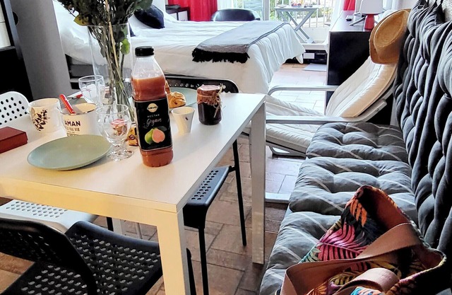 La Croisière : Nice view, renovated studio, air-conditioned, parking, balco