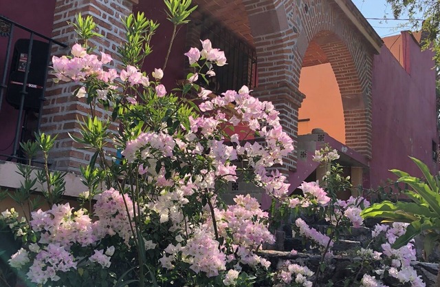 La Escondida, Alberca y Jardín