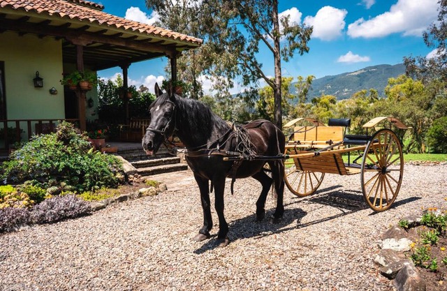 La Lomita