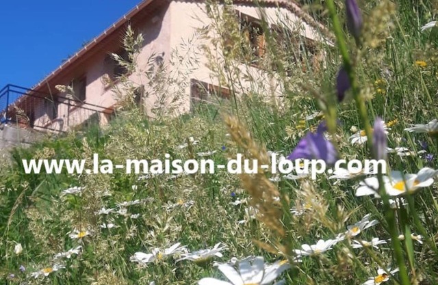 LA MAISON DU LOUP - NEW - CHRISTMAS AVAILABILITYnDue to cancellation.