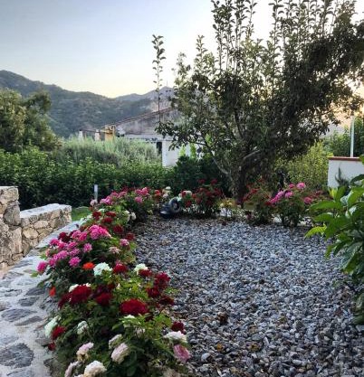 LA PERGOLA - Affitta Camere