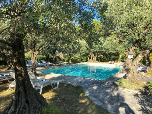 La Picholine en Provence