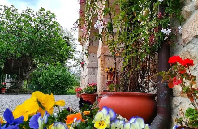 La Posada de Maria