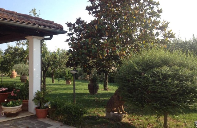 La Spiga