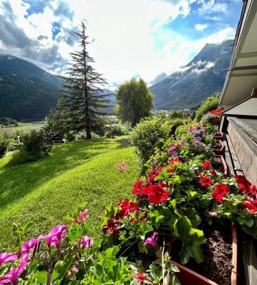 La Tana dell'Orso Bormio - Nature and Welness