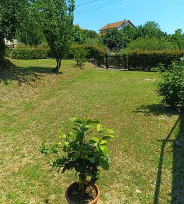 LA TANA DELLA VOLPETTA - Bed & Breakfast