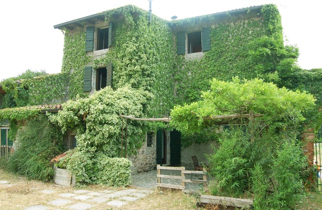 La Torretta: near Peschiera del Garda, surrounded by greenery, quiet