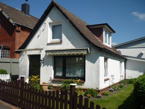 Lachmöwe