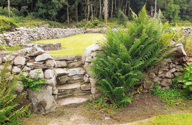 Lackaroe Cottage