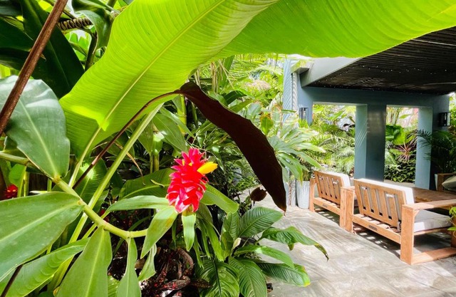 Lahania Lux Beach Villa