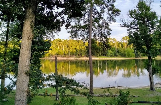 Lake Front/Great Views/Direct Lake Access Sanitized between visits